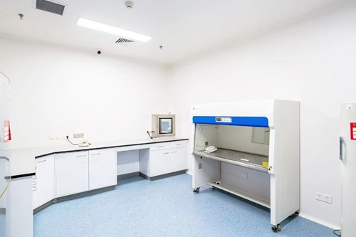 鋼木91香蕉视频APP污台價格受什麽影響